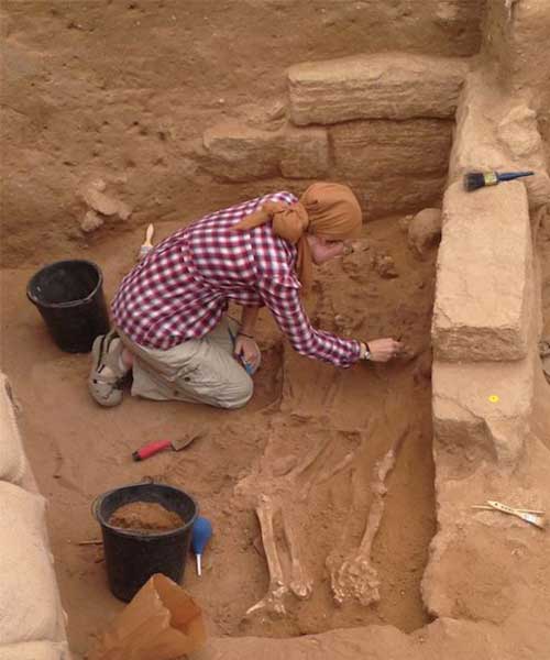 رشته باستان شناسی